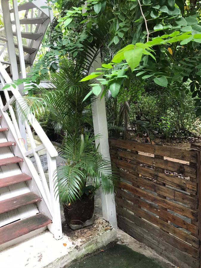 Morada Da Biquinha - Morro De Sao Paulo Lejlighed Eksteriør billede